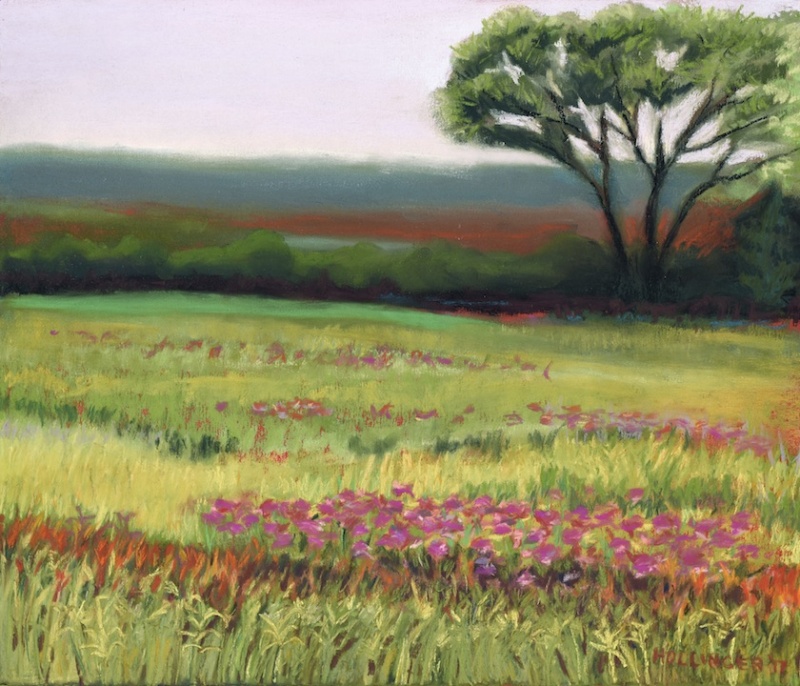 Nature scene by Mary Hollinger